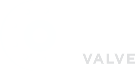 Omni Valve